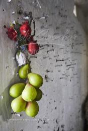 Image du Maroc Professionnelle de  Les fameux clous plantés par un membre de la famille d’un souffrant sur le mur intérieur du sanctuaire de la koubba du saint Sidi Bousmara dans l’espoir de sa guérison. Le saint marabout est visité depuis longtemps par tous ceux qui sont atteint de la rage convergent vers ce lieu et plante un clou sur l’arbre, ou sur le mur Est dans l’attente d’un rétablissement. La légende raconte qu’un vieux pèlerin à la barbe blanche drapé de blanc frappa alors le sol avec son bâton et une source jaillit du sol. Il s’installe à Casablanca au milieu du cimetière et plante un caoutchouc qui devint rapidement gigantesque à Casablanca, Vendredi 3 Février 2017. (Photo / Abdeljalil Bounhar)